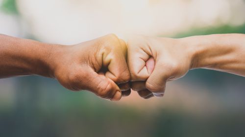 Das Foto zeigt zwei Fäuste von verschiedenen Menschen, die in der Luft freundschaftlich zusammentreffen.
