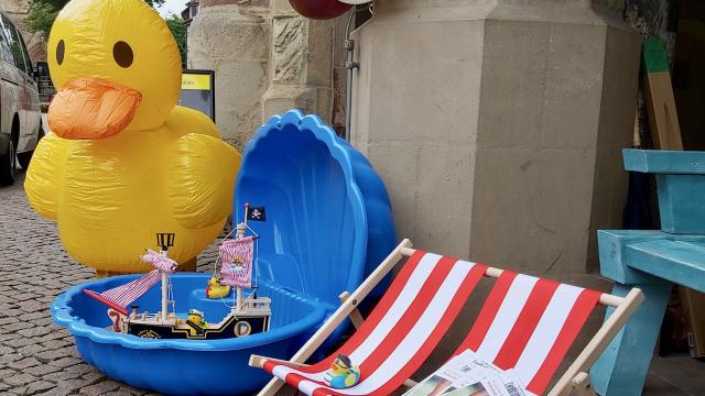 Entensuche in Duderstadt | Foto: Caritas