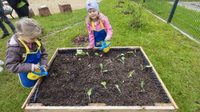 Kinder der KiTa für Alle im Inklusiven Campus Duderstadt lernen, wie Gemüse angebaut wird.